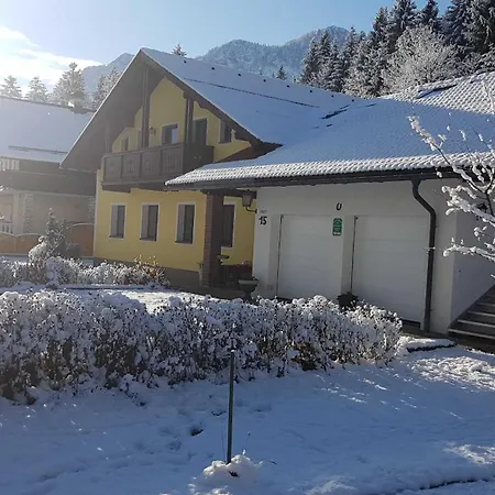 Winkler Apartment Bad Goisern